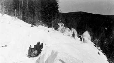 On the road to Barkerville. Fred Wells is behind the sleigh, wp338